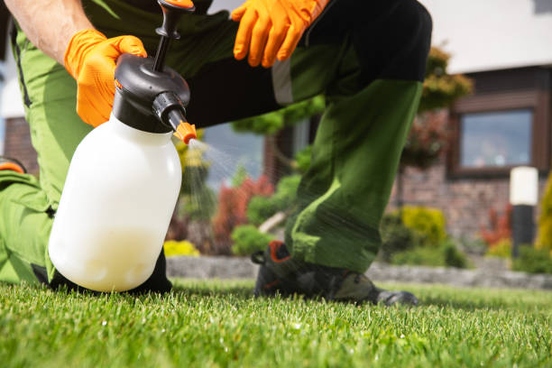 Best Pest Control for Businesses  in Ava, MO