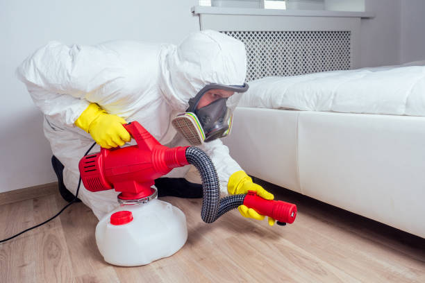 Best Pest Control Cost  in Ava, MO